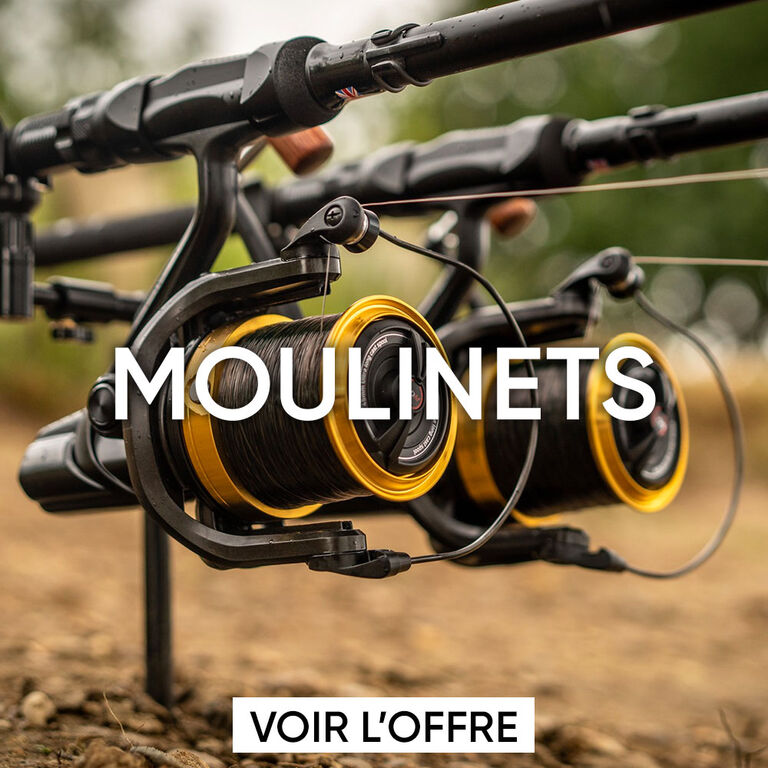 Moulinets carpe